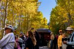 Cumbres & Toltec Scenic Railroad