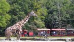 Timbavati Wildlife Park